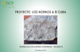 PROYECTO LOS HORNOS & El CURA€¦ · Numerosas intrusiones plutónicas se produjeron en el Batolito de Pataz, particularmente en el prospecto Los Hornos, siendo la unidad más antigua