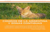 CÁNIDOS DE LA ARGENTINA Y ZONAS CONTIGUASargentinambiental.com/wp-content/uploads/pdf/AA54-52-Canidos_De... · se separaron las dos especies. En la Argentina habitan seis especies