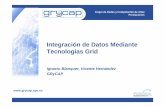 Integración de Datos Mediante Tecnologías Grid€¦ · Aplicación como una Tecnología Integradora. ... Tecnologías de la Información y Comunicaciones Avanzadas (ITACA) y en