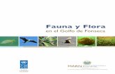 Fauna y Flora - marn.gob.sv€¦ · Fonseca y el litoral costero desde la ciudad del mismo nombre hacia el sur. La flora y fauna se han adap-tado a las diversas condiciones oceanográficas