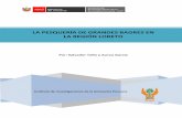 Diagnostico actualizo de la pesqueria de grandes bagresrepositorio.iiap.org.pe/bitstream/IIAP/261/1/Tello_libro_2009.pdf · adquirido en España, enseñó a los ribereños a construir