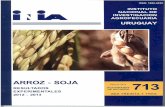 INIA Experimentales - Catálogo de Información ... · Anticipación, criterios y modalidades de aplicación de fósforo soluble en un cultivo de ... Evaluación de cultivares Indica