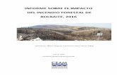 INFORME SOBRE EL IMPACTO DEL INCENDIO …Informe sobre el impacto del incendio forestal de Bolbaite 3 Figura 3. Recurrencia previa de incendios. Relieve El relieve de la zona es ligeramente