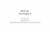 B0218 Zoología II - Universidad de Costa Ricabiologia.ucr.ac.cr/profesores/Chavez Gerardo (Cachi... · 2018-10-16 · Objetivos Conocer la filogenia de Lepidosauriomorpha. Reconocer