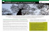 10 oaxaca Sierra norte-La chinantLaawsassets.panda.org/downloads/fs10_oaxaca_sierra_norte.pdf · 2013-05-21 · Contexto soCioCultural y eConómiCo La Sierra Norte, ubicada en el