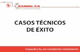 CASOS TÉCNICOS DE ÉXITO - CasavalCasaval.net/documentos/Casos-de-exito.pdf• Bloqueo de la válvula • Obstrucción de la sección de paso de la válvula • Cierre defectuoso