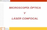 MICROSCOPÍA ÓPTICA Y LÁSER CONFOCAL · 2011-09-13 · 1. Fundamentos de óptica: Propiedades de la luz Formación de la imagen 2. Instrumentación de microscopía óptica: Lentes,
