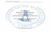 Universidad de Magallanes - INFORME PERFIL DE ...umag.cl/docencia/wp-content/uploads/2017/07/INFORME...Universidad de Magallanes Carreras Profesionales Página 3 de 122. Tabla de Contenidos
