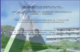 UNIVERSIDAD DE PINAR DEL RIO “HERMANOS SAIZ ...estructura y las Funciones por cada personal que interviene en el Proceso de Extensión Universitaria de la Universidad de Pinar del