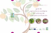 guía de agricultura ecológica de cultivos de...Esta Guía de Agricultura Ecológica que presentamos se ha creado con la voca-ción de que sea una herramienta de trabajo útil y ágil.