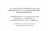 EL SECTOR FORESTAL EN URUGUAY Y LA …...Así, en 2007 se instaló en la localidad de Fray Bentos (en el departamento de Río Negro y a unos 300 km de la capital nacional) la primera