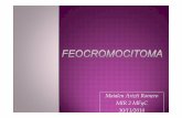 Maialen Arizti Romero MIR 2 MFyC 30/11/2010 · MCD exceso de catecolaminas (empeoran con beta-adrenérgicos) OTROS: Palidez, hipotensión ortostática (refleja un volumen plasmático