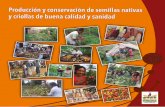 oducción y conservación de semillas nativas y …...las multinacionales y por las entidades del sector rural, quienes promueven las semillas certificadas y registra-das por las empresas