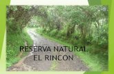 FINCA EL RINCONganaderiacolombianasostenible.co/web/wp-content/... · Área en total: 24.5 ha Área en bosques: 10.5 ha 42,9% Área potreros: 14 ha 8 Km en cercas vivas Aforo agua: