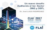 Dr. José LAGO RODRÍGUEZ...-Presidente de FLAI (2.003/04); Presidente del IIA Argentina (IAIA) (1.999/2.003); -Chairman 60ª Conferencia Internacional IIA (Buenos Aires, 2.001). 3