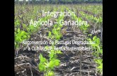 Integración Agrícola Ganadera - PLATAFORMA …...2018/12/02  · Con el 1% del área Pastoril Produciendo solo 25 Ton /HA Suplem. X 5 meses Invernales Se alimenta 500.000 cab. adicionales