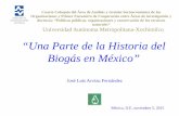 Una Parte de la Historia del Biogás en México”dcsh.xoc.uam.mx/produccioneconomica/publicaciones/9_biogas_en_Mexico.pdfel IIE en la segunda mitad de la década de los setentas,
