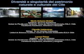 Diversità e singolarità dei patrimonio naturale e …oa.upm.es/38509/1/INVE_MEM_2010_211049.pdfClaudio Valdovinos Biólogo. Dr. en Ciencias Ambientales Unidad de Sistemas Acuáticos.