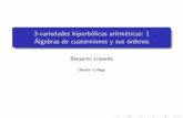 3-variedades hiperbólicas aritméticas: 1 Álgebras de ...apacetti/agra3/cuaterniones_Ben.pdfBenjamin Linowitz 3-variedades hiperbólicas aritméticas: 1 Álgebras de cuaterniones