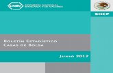 Boletín Estadístico Casas de Bolsa Junio 2012 · y en caso de que el retraso en la recepción sea por causas imputables a la CNBV (Ej. Falla en el sistema de recepción) los días
