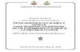 ACADEMIA DE FARMACIA DE GALICIA · 2019-12-17 · academia de farmacia de galicia discurso de ingreso medicamentos celulares y gÉnicos para terapias avanzadas: de la investigaciÓn