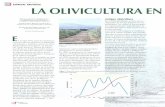 biblioteca.inia.clbiblioteca.inia.cl/medios/biblioteca/ta/NR26139.pdf · de algunas estacas de olivos prove- nientes de Sevilla (España), inauguran- do el cultivo en Chile. En la
