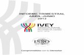 INSTITUTO DE VIVIENDA DEL ESTADO DE YUCATÁNtransparencia.yucatan.gob.mx/datos/2013/ivey/INFORME... · 2017-05-05 · Gestión de la Calidad del IVEY basado en dicha norma, esta actualización