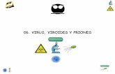 06. VIRUS, VIROIDES Y PRIONES - [DePa] Departamento de ...depa.fquim.unam.mx/microbio/1410MG-06/T-Presentaciones/Tema0… · Proteínas de la cola, collar, placa basal y fibras de