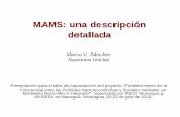 MAMS: una descripción detallada - United Nations · 2011-11-02 · MAMS: una descripción detallada Marco V. Sánchez Naciones Unidas Presentación para el taller de capacitación