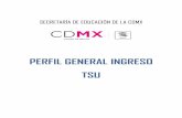 PERFIL GENERAL INGRESO TSU - sectei.cdmx.gob.mx€¦ · educativos que se ofrecen, la SEDU, a través de su Dirección Ejecutiva de Educación Media Superior y Superior, realiza una