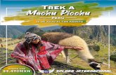 Trek a Machu Picchuun trayecto de 1.5 horas para almorzar en el punto de partida hacia Aguas Calientes, al cual se llegará caminando 2.5 horas. En el pueblo se hará el check in en