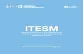 ITESM - uam-postgrado.detrasdelsofarojo.comuam-postgrado.detrasdelsofarojo.com/wp/wp-content/uploads/2017/03... · capacidad de tomar decisiones gerenciales, apoyándose en procedimientos