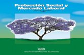 Protección Social y Mercado Laboral Protección …...de expertos que abordaron, a partir de microdatos provenientes de diversas encuestas nacionales de empleo y protección social,