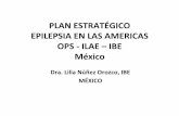 PLAN ESTRATÉGICO EPILEPSIA EN LAS AMERICAS OPS - …epilepsiahoy.com/Estrategia/3PLAN_ESTRATEGICO.pdfOrganizaciones para lograr la aplicación del Plan de Acción en Epilepsia en