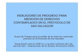INDICADORES DE PROGRESO PARA MEDICION DE DERECHOS ...scm.oas.org/pdfs/2011/CP25980S.pdf · EJES TRANSVERSALES. PRINCIPIOS RECTORES DE INFORMES 1. Progresividad: la realización completa