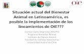 Situación actual del Bienestar Animal en Latinoamérica y ...€¦ · Resolución 25/2013: Restricciones al uso de la picana y otros. Resolución 46/2014: Incorporación del capítulo
