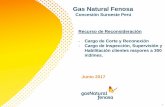 Gas Natural Fenosa - Osinergmin · Gas Natural Fenosa Concesión Suroeste Perú Junio 2017 1 Recurso de Reconsideración -Cargo de Corte y Reconexión -Cargo de Inspección, Supervisión