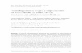 Transdiagnóstico: origen e implicaciones en los …scielo.isciii.es/pdf/neuropsiq/v38n133/0211-5735-raen-38...Transdiagnóstico: origen e implicaciones en los cuidados de salud mental