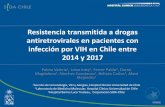 Resistencia transmitida a drogas antiretrovirales en ... · Resistencia transmitida a drogas antiretrovirales en pacientes con infección por VIH en Chile entre 2014 y 2017 Palma