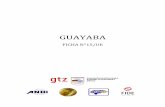 GUAYABA - Consejo Hondureño de la Empresa Privada · La guayaba fue domesticada hace 2,000 años por los indígenas. Hoy su cultivo se ha extendido a diferentes países del mundo,