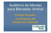 Temple Grandin , Universidad del Estado de Colorado · los Equipos 8 0 9 0 23 0 0 5 10 15 20 25 % Cattle Vocalizing Instalación Luz en la Entrada al Sujetador Reducción de la Presión