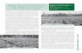 PRáCTICAS DE MANEJO Aurelio García Altunaga , Germán DEL ... 2009-3/22 frijol.pdf · Forestal Viñales nutrientes y de agua, usados preferentemente en el cultivo de especies forestales
