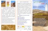 ¿Qué es Geolodía 2011? Geolodía 11 Cádiz · hoy día se manifiesta en forma de una sismicidad importante, localizada fundamentalmente en el Golfo de Cádiz, en un conjunto de