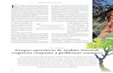Grupos operativos de ámbito forestal: respuesta conjunta a …revistadesarrollosostenible.redruralnacional.es/2018... · 2018-10-15 · rásito: “la tinta, el chancro y la avispilla