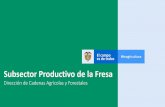 Subsector Productivo de la Fresa Cif… · Costos de Producción del cultivo de Fresa Subsector Productivo de la Fresa Ministerio de Agricultura y Desarrollo Rural Cifras del Subsector