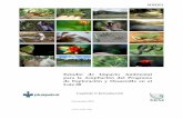  · CAPÍTULO I. PLUSPETROL PERU CORPORATION S.A. Estudio de Impacto Ambiental para la Ampliación del Programa de Exploración y Desarrollo en el Lote 88 . Introducción . Noviembre,