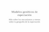 Modelos genéticos de especiación - ECOLOGIA, GENETICA Y ... · b) Cromosómica Endogamia y deriva llevan a la fijación de reordenamientos heteróticos negativos c) Mantenimiento