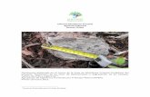 Informe monitoreo Agrícola El Brinzal · Google Earth, una fotointerpretación de las distintos tipos de uso del suelo según metodología del Catastro y Evaluación de Recursos