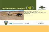 CUADERNO DE TRABAJO€¦ · Economías indígenas y transformaciones agrarias en Bolivia El Postgrado en Ciencias del Desarrollo, CIDES, es el primer postgrado en la Universidad Mayor