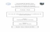 Universidad de Buenos Aires Facultad de Ciencias ...bibliotecadigital.econ.uba.ar/download/tpos/1502-0969...Cash Flow – Análisis de Sensibilidad. 84 6.1. Cash Flow – Escenarios